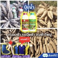 ปุ๋ยน้ำ บูม99(สูตร1+สูตร2) เร่งหัว เร่งดอก เร่งผล 1ชุด (โปรโมชั่น ขนาด500 ซีซี )