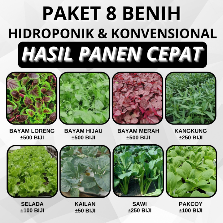 Paket 8 Benih Hasil Panen Cepat Bisa Hidroponik Atau Konvensional Bayam