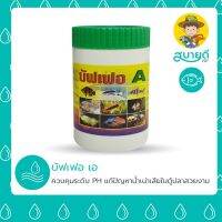 มาใหม่ !!! บัฟเฟอ A แก้ปัญหาน้ำเสียในตู้ปลาสวยงาม ควบคุม pH แก้ปลาหงายท้อง ว่ายน้ำนิ่ง ตู้ปลา น้ำสวย น้ำใส