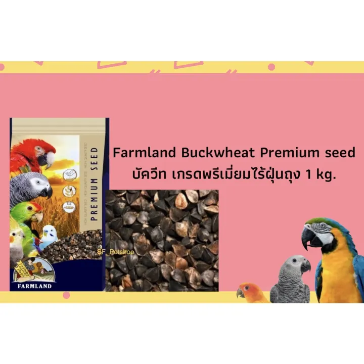 ( Promotion+++ ) Buckwheat Farmland บัควีท เกรดพรีเมี่ยมไร้ฝุ่น ถุงขนาด