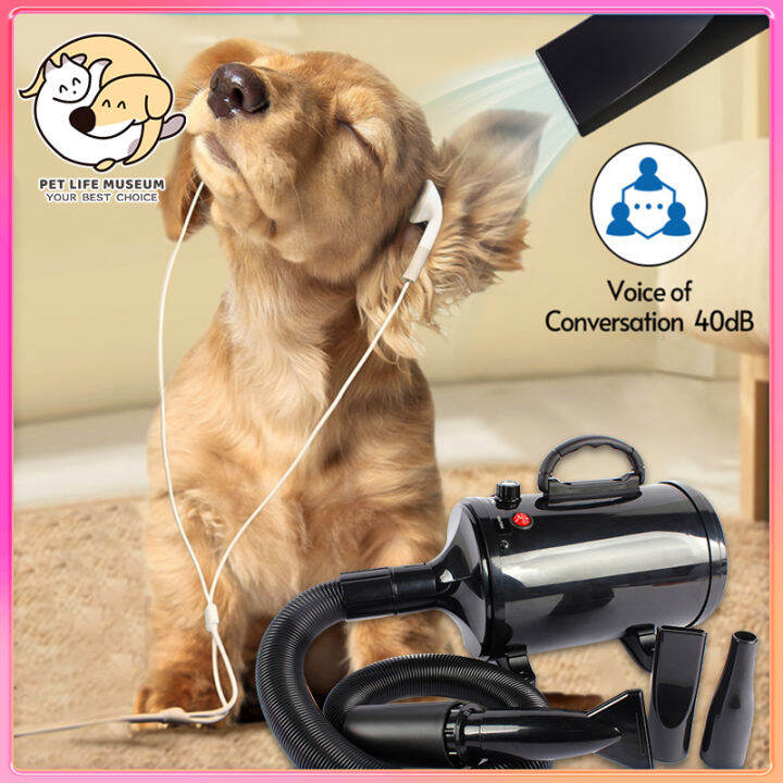 Monster blower outlet for dogs