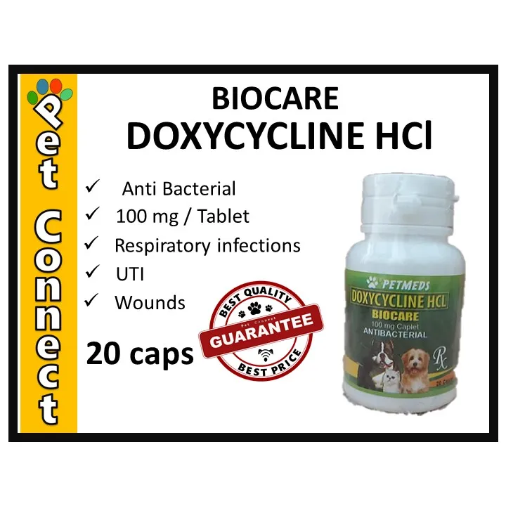 how long should a dog be on doxycycline