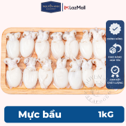 Mực bầu lớn Nguyên Anh đặc sản Phú Quốc hải sản tươi sống như cá, tôm tươi