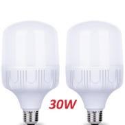 Bộ 2 bóng đèn Led 30W cao cấp ánh sáng trắng