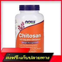 Fast and Free Shipping Now Foods Chitosan 500 mg 240 Veg Cap Ship from Bangkok