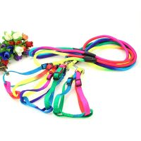 Cute Rainbow Small And Medium Dog Harness 3 Sizes Nylon Leash For Pet Dogs Cats Chihuahua/Teddy/Pit bull Walking Leash Rope