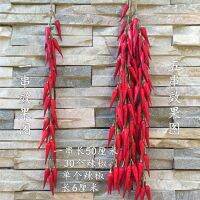 Simulation Red Chilli Fake Corn Garlic Peanut Vegetable Fruit Farmhouse Restaurant Courtyard Model Decorations Hanging String