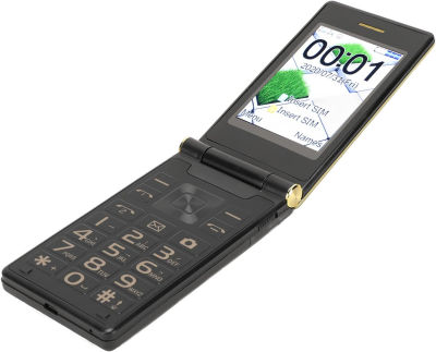 Bewinner Unlocked Senior Flip Cell Phone, Dual SIM Card 2G Cell Phone, 2.8 Inch Screen Big Button Cell Phone, Support Flashlight Camera MP3 for Seniors Children 5900mAh(Gold) M3