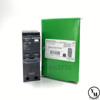 เมนกันดูด QOvs 2P 20A-63A RCBO Schneider SquareD