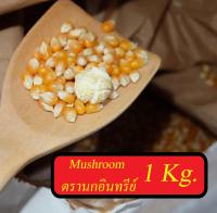 เมล็ดข้าวโพดดิบใช้ทำป็อปคอร์น ป๊อปคอร์นเม็ดกลม เมล็ดป๊อบคอน mushroom popcorn เมล็ดข้าวโพด ป๊อบคอร์น เมล็ดข้าวโพดmushroom ข้าวโพดคั่ว เมล็ดป๊อปคอร์นอันดับ1 ตรานกอินทรีย์ นำเข้าจากอเมริกา Non GMO ขนาด 1,000g.(สำหรับทำ ป๊อปคอร์นคาราเมล)