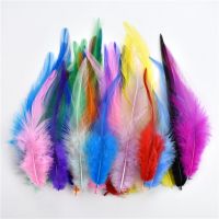 50Pcs/Lot Pheasant Feathers Diy Jewelry Decoration Feather for Needlework and Handicrafts Accessories Plumes