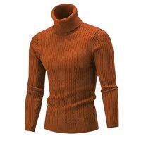 Autumn Winter Mens Turtleneck Sweater Mens Knitting Pullovers Rollneck Knitted Sweater Warm Men Jumper Slim Fit Casual SweaterTH