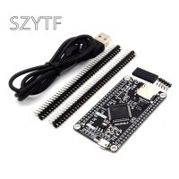 STM32F407VET6 STM32F407VGT6 บอร์ดพัฒนา F407 บอร์ดการเรียนรู้ MCU STM32 บอร์ดระบบ