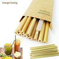 Bamboo Drinking Straws Reusable Eco-Friendly Party Drinks