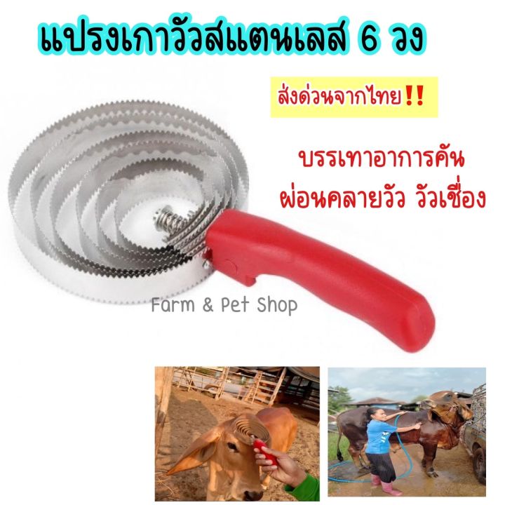 แปรงขนวัว-แปรงขนแกะ-แปรงขนแพะ-แปรงขนม้า-สแตนเลส-แก้คัน-ผ่อนคลายให้วัว-แกะ-ม้า-ส่งด่วน1-3วัน