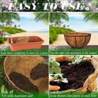 3 Pcs Round Coconut Liner Natural Coconut Fiber Basket Coconut Replacement Liner for Hanging Baskets Planters Flowers