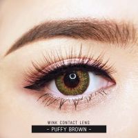 คอนแทคเลนส์ wink สี Brown น้ำตาล ค่าสายตาปรกตินะคะ ลาย puffy