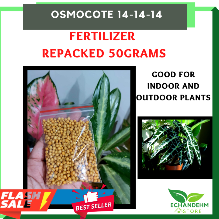 EchandEhm Store Osmocote fertilizer 14 14 14 50 grams Fertilizer for
