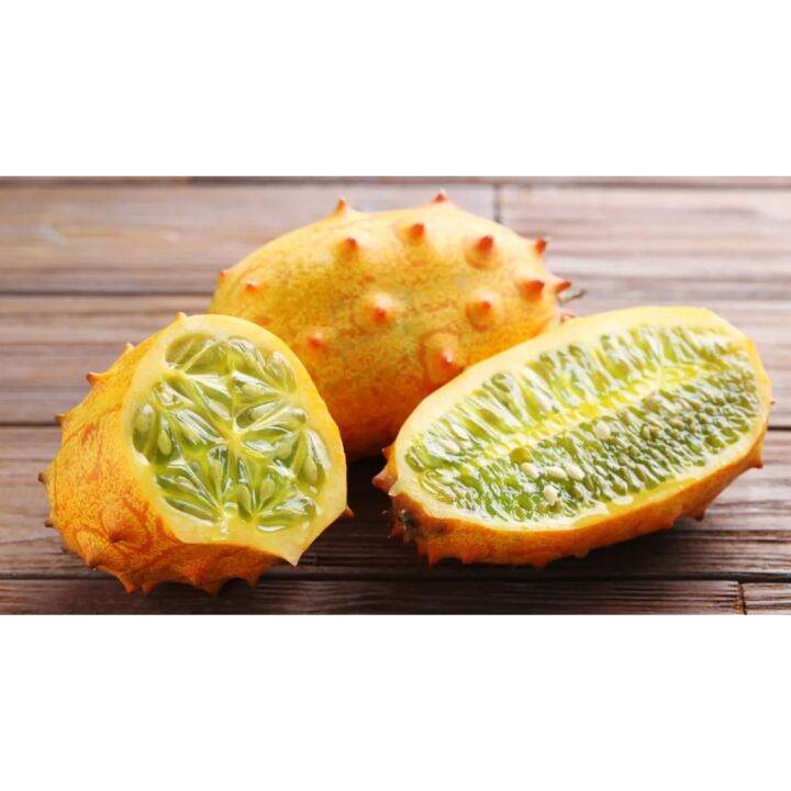 Kiwano Horned Melon Cucumber Fruit Seeds 30 Seeds Basic Farm   Ab1fb8cdfaf0bcc98a2d7a9d76bb6bb6  720x720q80 