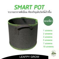 [ready stock]กระถางผ้า Smart pot 1/2/3/5/7/10 แกลลอน กระถางปลูกต้นไม้มีบริการเก็บเงินปลายทาง