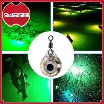Dẫn dưới nước lure đèn hình dạng mắt Mini thu hút đèn câu cá soomth nhựa  bền không thấm nước cho Angler Nguồn cung cấp