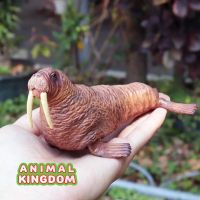 Animal Kingdom - โมเดล Walrus แมวน้ำ สิงโตทะเล ขนาด 15.00 CM (จากสงขลา)