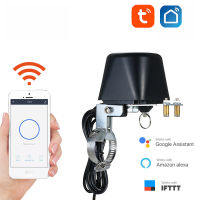 Assistant Water Valve Smart House Automation Skits Tuya Wifi Zigbee Gas Valve รองรับ Alexa Smartlife Countdown Timer