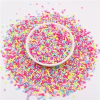 【CC】 Colourful Cylindrical Polymer Clay Slices Sprinkles for Filling  Crafts plastic klei Accessory