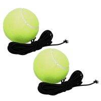 2pcs Outdoor Training Balls Self-study Dog Plaything