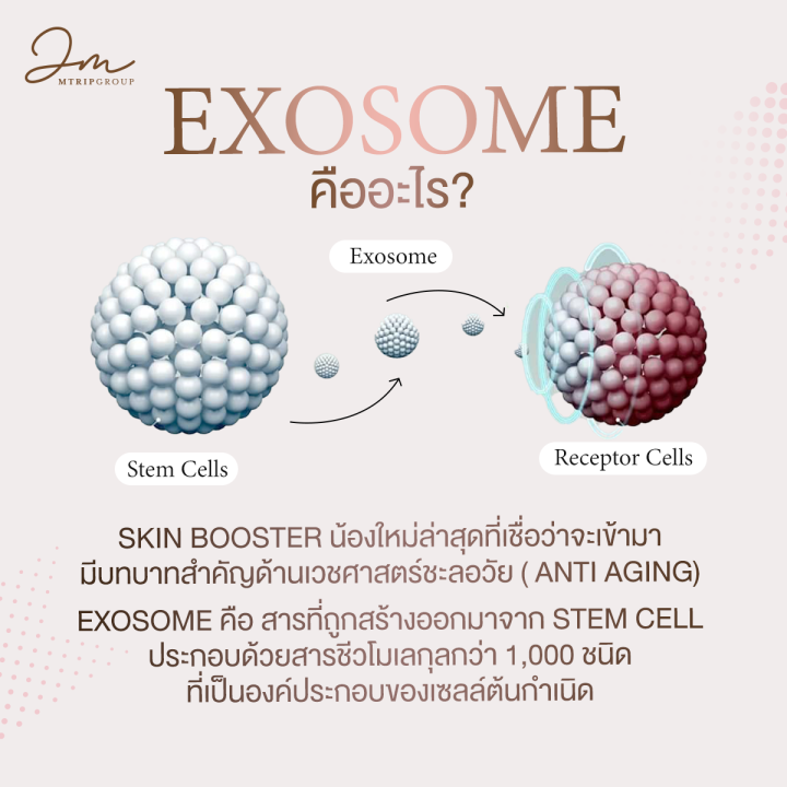 เซรั่มโจลาสม่า-10-เดือน-jolasma-intensive-lifting-contour-serum-หน้าเรียว-หน้าเด็ก-กระชับ-ลด-ริ้ว-รอย-ของแท้จากบริษัท