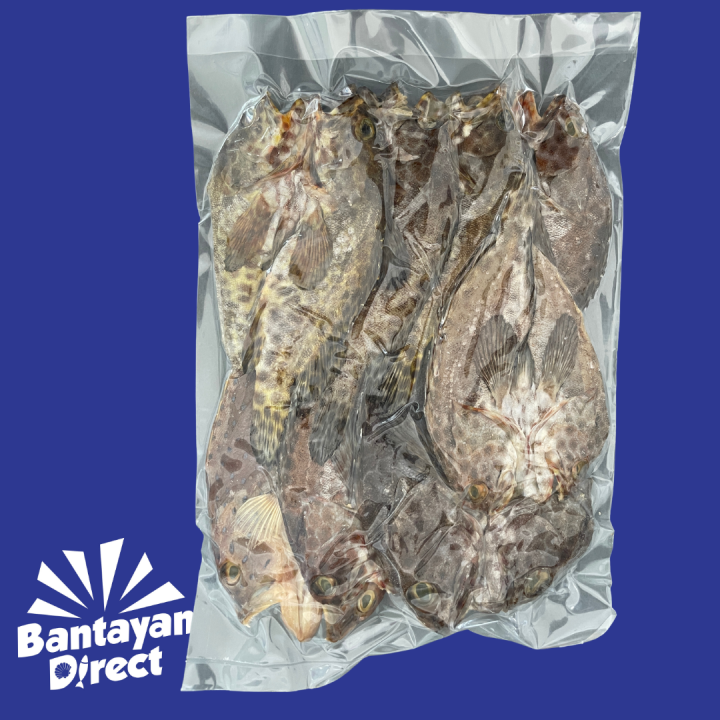 Dried LapuLapu Fish Lazada PH