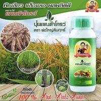 แพนต้าโกรว์ พ่อใหญ่สัมฤทธิ์ ปุ๋ยน้ำ ปุ๋ยทางใบ 500 ml สูตรเข้มข้น บำรุงพืชผัก ผล ดอก พืชทุกชนิด สินค้าใหม่ ของแท้100% ดี