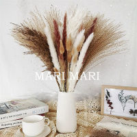 Nordic Home Decor Dried Flowers Natural Reeds Grass Dried Bouquets Floral DIY Preserved Flowers Plant Stems Material Pampas Sets