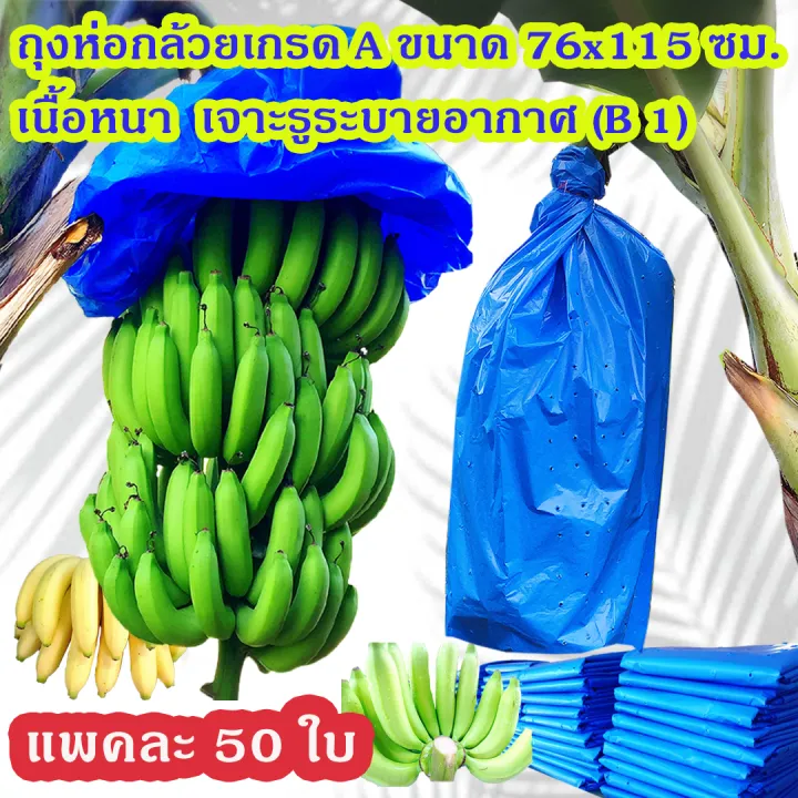 แพคละ 50 ใบ ถุงห่อกล้วย ถุงห่อกล้วยหอม ถุงคลุมกล้วย ถุงห่อกล้วยพลาสติกฟ้า ขนาด 76x115 ซม. เกรด A เนื้อหนา ใช้ซ้ำได้  375 บาท