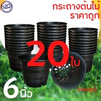 ขนาดกระถาง 6 นิ้ว พลาสติกหนาๆ กระถางกลม สีดำ เซต20ใบ