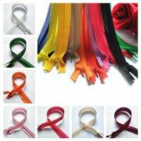 17 Pcs 55 Cm (22 Inches)  silk   Zipper  Suitable For Clothes And Skirts Door Hardware Locks Fabric Material