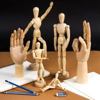 Action FiguresZZOOI Figures Home Decor Artist Models Jointed Doll Drawing Sketch Mannequin Model Movable Limbs Wooden Hand Body Draw Action Toys Action Figures