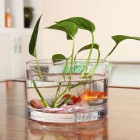 Glass Cylinder Aquarium Clear Desktop Fish Bowls for Small Fish 3 Sizes Durable Vases for Candy Ornaments Holder