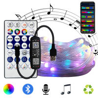 WS2812B Dreamcolor String Light BT Music APP USBDC Controller Waterproof RGBIC Addressable Individually Garland Birthday Party