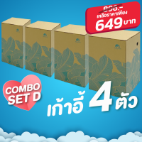 Leafy Folded Stool (เก้าอี้สตูล DIY รักษ์โลก) SET 4 ชิ้น ComBo Set D