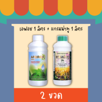 (ชุดใหญ่) เอฟอช สารจับใบ+ ปุ๋ยน้ำแกรมม่าทู ขนาด 1 ลิตร ปุ๋ยน้ำสูตรบำรุงต้น ปุ๋ยน้ำเร่งการเจริญเติบโต ต้นแข็งแรง