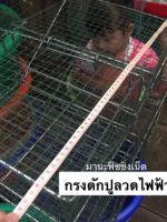 กรงดักปู กรงปู รุ่นลวดไฟฟ้าป้องกันสนิม ?️ Crab Trap