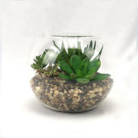 สวนโหลแก้วประดิษฐ์ Artificial terrarium plants