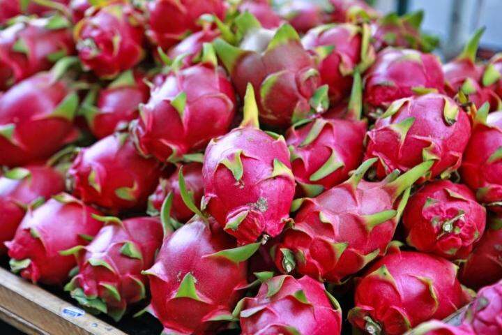 แก้วมังกร-แก้วมังกรเนื้อขาว-dragon-fruit-ราคา-1-ลูก