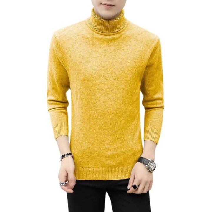 Casual hot sale turtleneck sweater