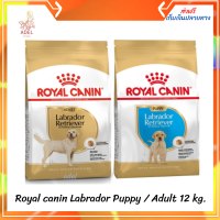 ล็อตใหม่ จัดส่งฟรี พร้อมส่งทุก​ออเดอร์​ ? Royal canin Labrador Puppy / Adult อาหารลูกสุนัข และ สุนัขโต พันธุ์ลาบราดอร์ ขนาด 12 กิโลกรัม เก็บเงินปลายทาง