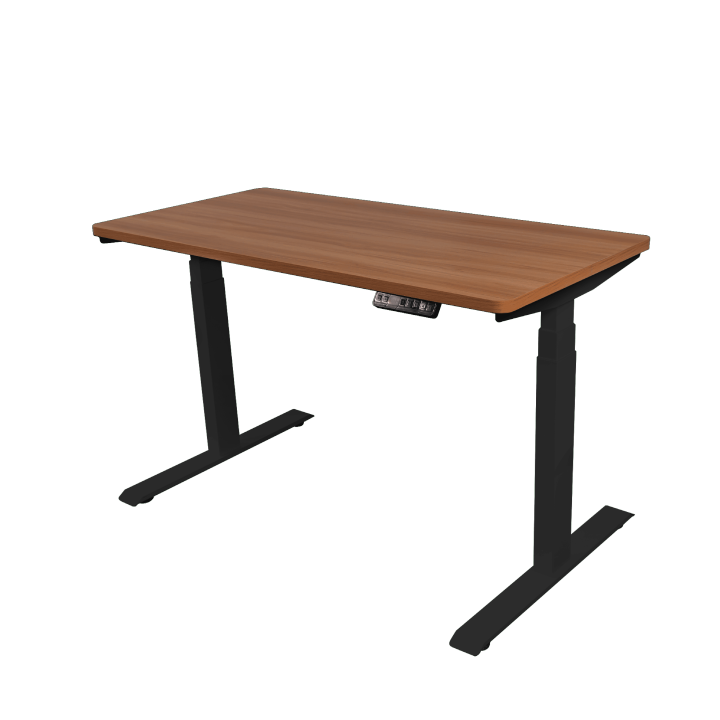 [รับประกัน 10 ปี] Bewell Ergonomic Desk โต๊ะทำงาน โต๊ะปรับระดับเพื่อ