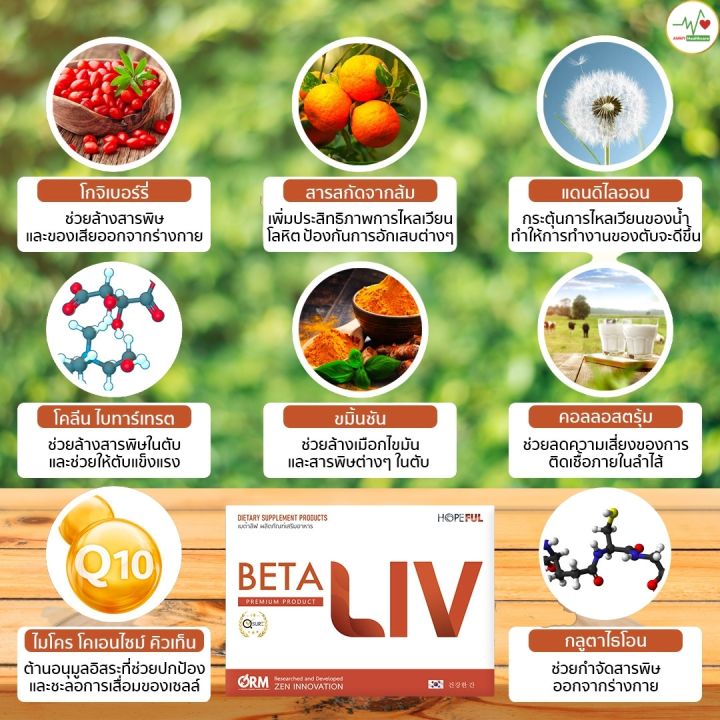 betaliv-เบต้าลีฟ-ผลิตภัณฑ์เสริมอาหาร-บำรุงตับ-หล้างสารพิษ-1กล่อง-มี-10แคปซูล-พร้อมส่ง-rain-wellness