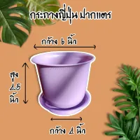 กระถางญี่ปุ่นปากแตร กระถางต้นไม้ กระถางสีม่วง