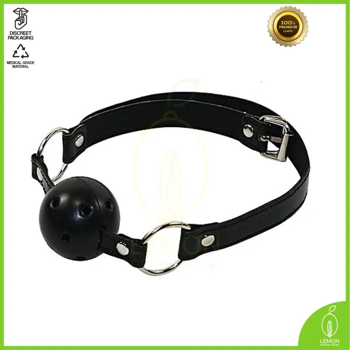 Ball Gag Harness